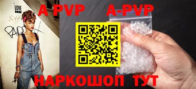 мет Кингисепп