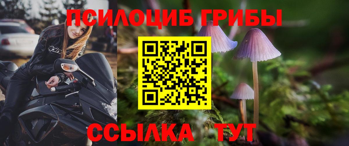 Псилоцибиновые грибы MAGIC MUSHROOMS Качканар